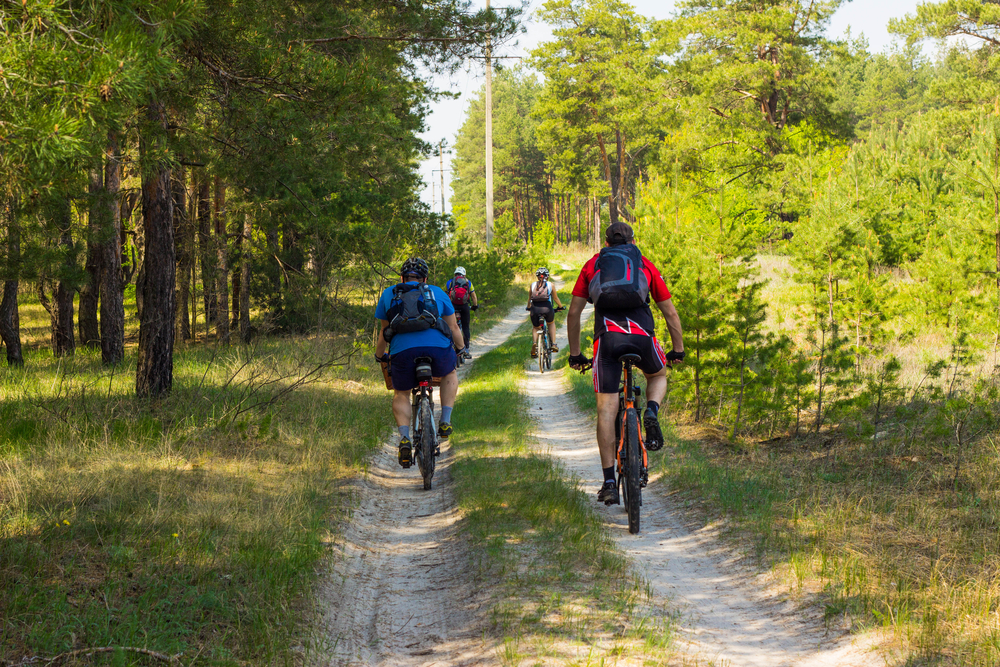 fahrrad-schnitzeljagd-natur-